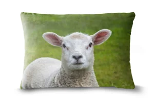 Lambs Head Bolster