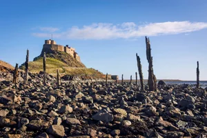 Lindisfarne Wooden Stakes Foamex Print