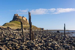 Lindisfarne Beach Foamex Print