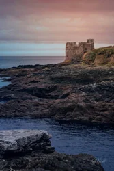 Little Dennis Blockhouse Wall Art Prints