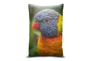 Rainbow Lorikeet Bolster