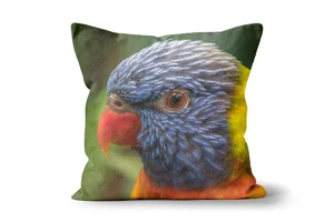 Rainbow Lorikeet Close-Up Scatter Cushions