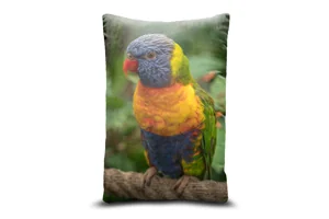 Rainbow Lorikeet Bolster