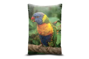 Rainbow Lorikeet Bolster