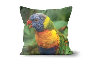 Chattering Rainbow Lorikeet Scatter Cushions
