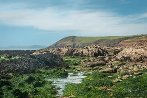 Manorbier Beach Pembroke Wall Art Prints