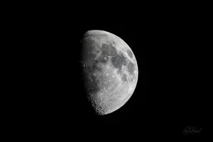 First Quarter Moon Wall Art Prints