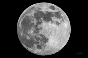 Full Flower Moon Wall Art Prints