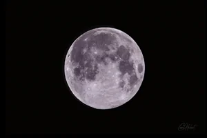 April Pink Moon Wall Art Prints