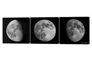 Three Phase Moon 3 Piece Canvas Wall Art