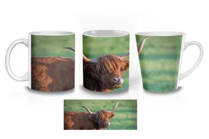 Majestic Highland Cow Coffee Mugs
