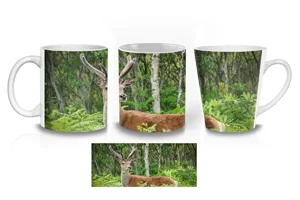 Scottish Deer Coffee Mugs