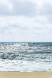 Lapping Sea Waves Wall Art Prints