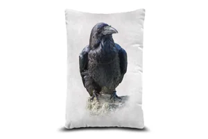 Raven Bolster