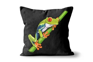 Red Eyed Tree Frog Scatter Cushions
