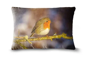 Robin on a branch Bolster