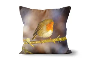 Robin Scatter Cushions