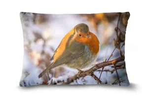 Robin in Snow Bolster