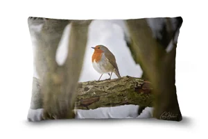 Winter Robin Bolster