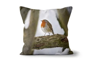 Proud Winter Robin Scatter Cushions