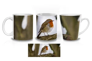 Curious Winter Robin Coffee Mugs