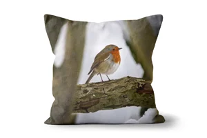 Curious Winter Robin Scatter Cushions