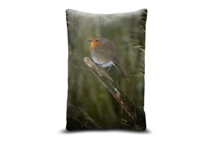 Spring Robin Bolster