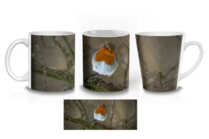 Cheeky Robin Redbreast Coffee Mugs