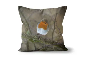 Cheeky Robin Redbreast Scatter Cushions