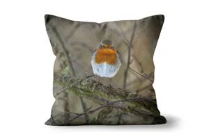 Robin Redbreast Scatter Cushions