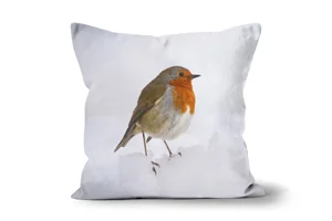 Robin in Snow Scatter Cushions