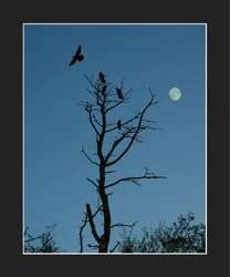 Gallows Hill Mounted Print