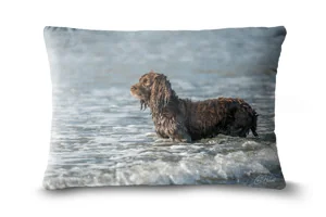 Chocolate Cocker Spaniel Bolster