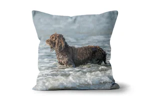 Sea Dog Scatter Cushions