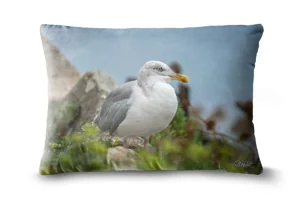 Herring Gull Bolster