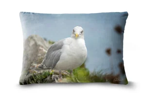 Herring Gull Bolster