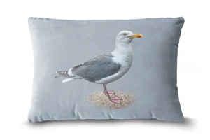 Herring Gull Bolster
