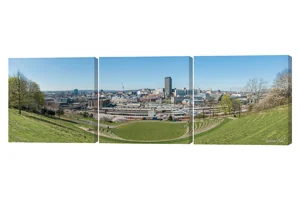 City of Sheffield 3 Piece Canvas Wall Art