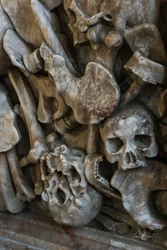 Carved Skulls and Bones Wall Art Prints