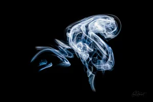 Smoke Butterfly Art Prints