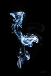 Smoke Mantis Art Prints