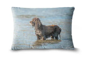 Cocker Spaniel Bolster