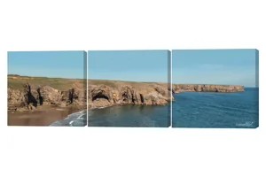 Stackpole Head 3 Piece Canvas Wall Art