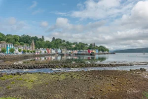 Tobermory Wall Art Prints