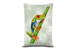 Red-Eyed Tree Frog Bolster