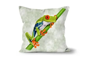 Red Eyed Tree Frog Scatter Cushions