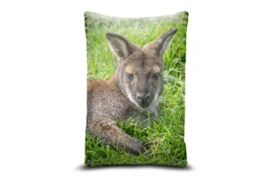 Wallaby Bolster