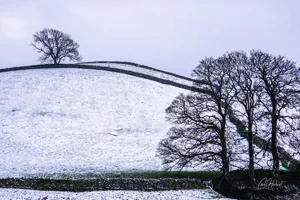 Wensleydale in Winter Art Prints