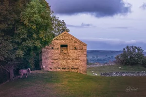 Wensleydale Barn Wall Art Prints