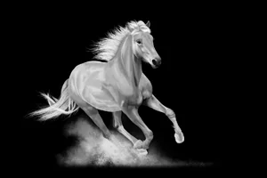 Palomino Horse Canvas Wall Art
